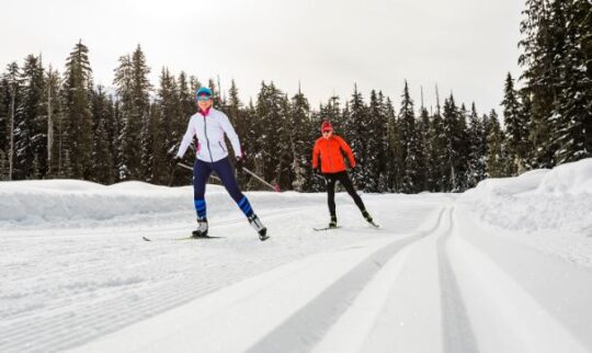 https://www.whistlerdailypost.com/wp-content/uploads/2022/12/skiing-cross-540x322.jpg