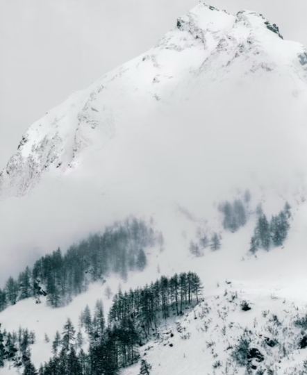 https://www.whistlerdailypost.com/wp-content/uploads/2023/04/avalanche-header-442x540.png