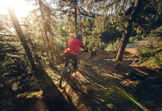 https://www.whistlerdailypost.com/wp-content/uploads/2024/05/whistler-bike-park-540x372.jpg